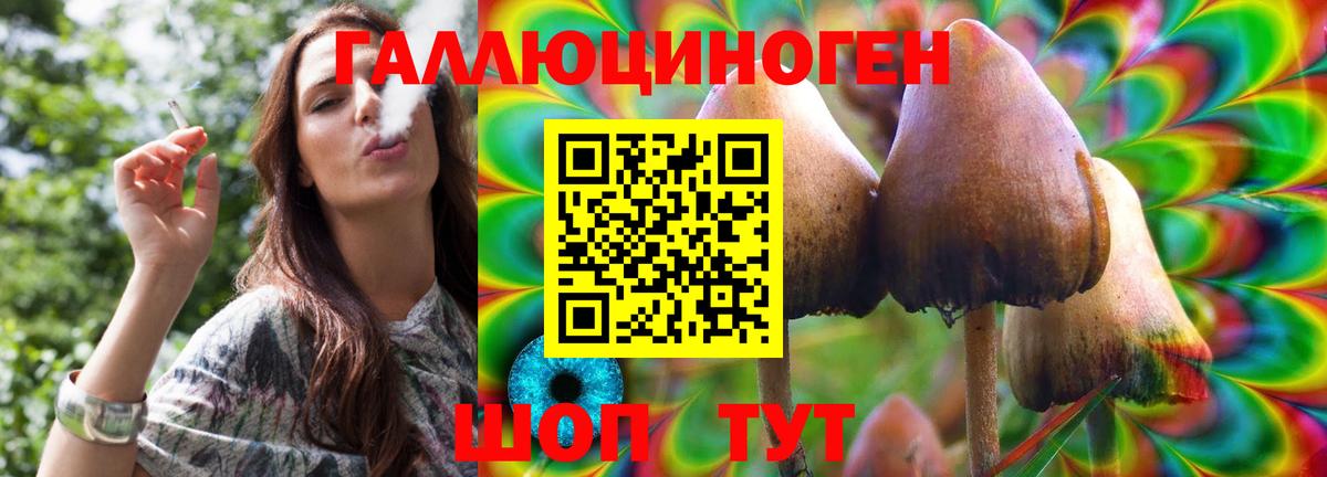 Псилоцибиновые грибы Cubensis  купить наркотик  Узловая  Псилоцибиновые грибы Cubensis  Вход с VPN 
